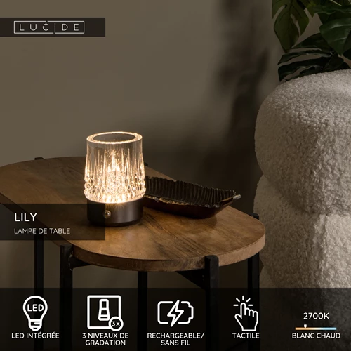 Lucide LILY - Lampe de table Rechargeable - Batterie/Piles - Ø 8 cm - LED 3 StepDim - 1x3W 2700K/3000K - Canon Fusil - Ensemble de 3 - USP